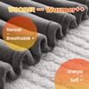 Heated Blanket, Full Size 77"X 84" Soft Flannel Fast Heating Blanket with Multi-