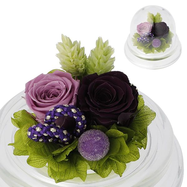 Preserved Flower Gift Petite