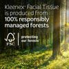 4-pack Coconut Oil Moisturizing Facial Tissues