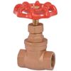 PROPLUS 242103 Gate Valve, 1/2" Fip