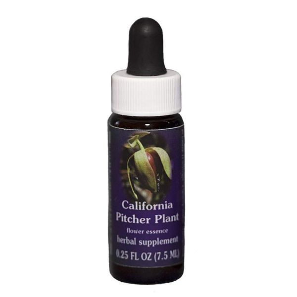 Flower Essence Services Essence, California Pitcher Plant, 0.25 Ounce
