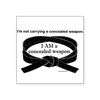 CafePress Concealed Weapon Rectangle Sticker Square Bumper Sticker Car Decal