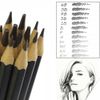 12 Graded Pencils - Draws, Tones & Shades without mess