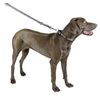 Kerbl Shiny Night Collar, 20 mm x 40-55 cm