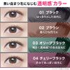 Maybelline Lashionista N