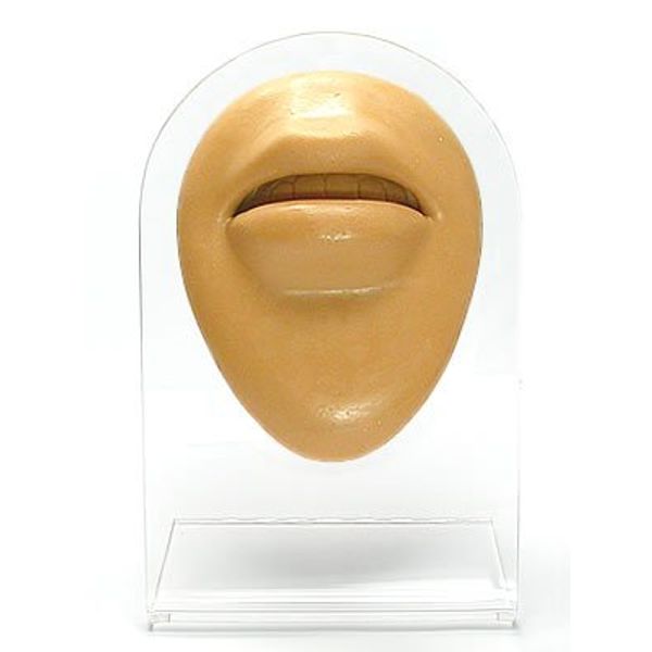 Painful Pleasures Silicone Lips Display - Tan Body Bit Version 1