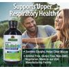 Natural's Answer MulleinX Multi-System Cough Syrup, 120 ml