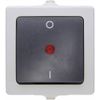Kopp 565296007 2-Pole Illuminated Surface-Mount Switch