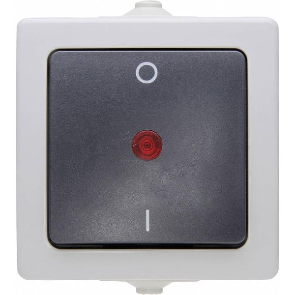 Kopp 565296007 2-Pole Illuminated Surface-Mount Switch