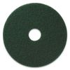 212 Main 17 in. Scrubbing Pad Green