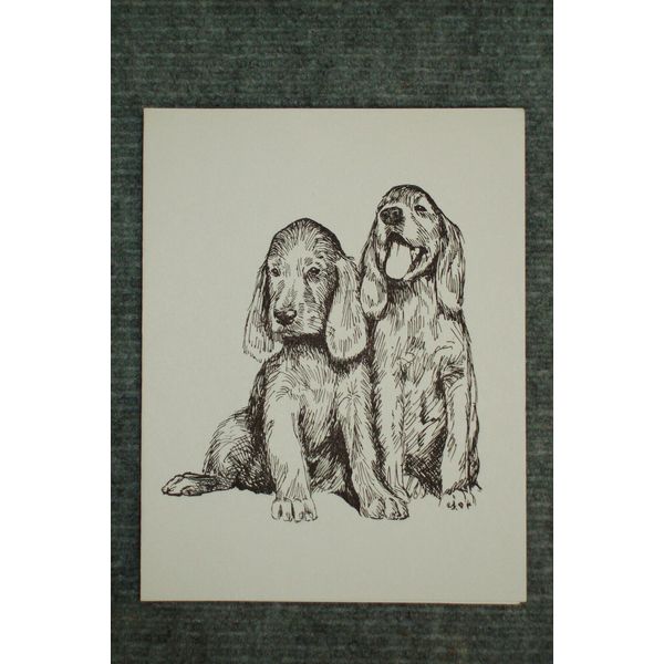 Irish Setter Pups Pen & Ink Stationary Cards, Note Cards, Greeting Cards. 20 ct.