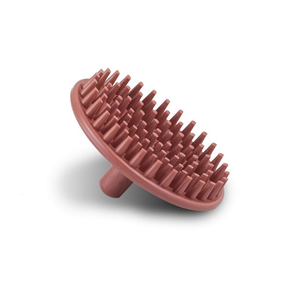 Campbell's® Shampoo Brush and Scalp Invigorator