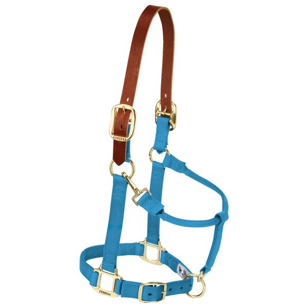 Weaver Leather Nylon Adjustable Breakaway Horse Halter, Small, Hurricane Blue