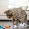 Petstages Catnip Dental Health Chews - Dental Care Chew Toy for Cats - Catnip - Multicoloured - Pack of 2