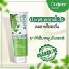 12x D. Dent Herbal Toothpaste Peppermint Formula Fluoride Fresh Breath Sensitive