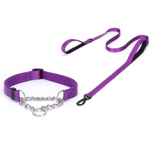 Serijoars Martingale Dog Collar, Trainer Approved Limited Slip Collar with Stainless Steel Chain, Modified Cinch Collar for Gentle & Effective Pet Training (Purple Set, S)
