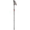 Robens Rydal C66 Carbon Fibre Trekking Pole Black
