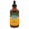 Herb Pharm Propolis Liquid Extract for Immune System Support - 4 Ounce