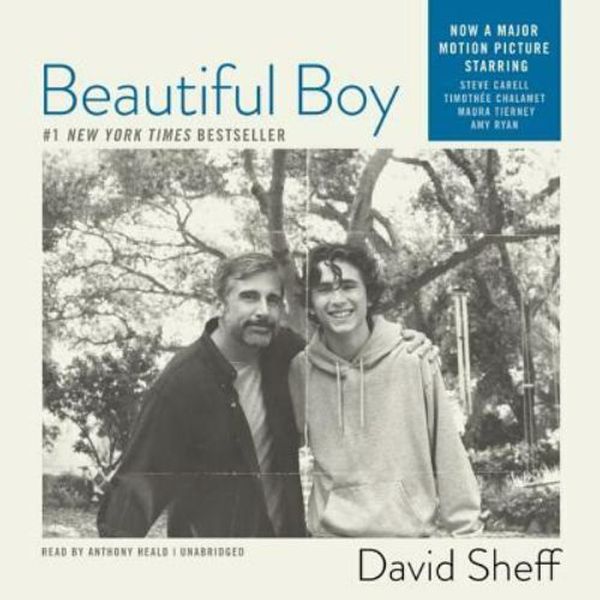 Beautiful Boy: A Father's Journey through His Son's Meth Addiction (AUDIO CD)