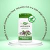 Nature's Way Alfalfa Leaves - 100 Capsules