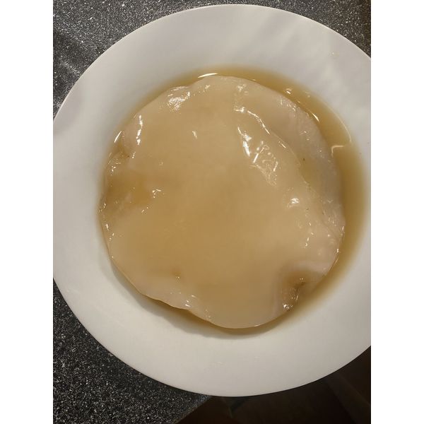 Organic kombucha scoby with Instructions and starter fluid
