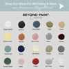 Beyond Paint Silver Metallic Pint