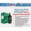 2 Bottle Splina Liquid Chlorophyll by Edmark Int'l. 500ml -DHL Shipping