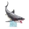 HAOLONGGOOD Otodus Megalodon