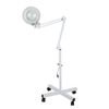 5X Diopter Rolling Floor Stand Magnifier Lamp Mag Light Magnifying Glass Lens