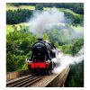 Activity Superstore Steam Train Experience for Two Gift Experience
