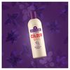 Aussie Colour Mate Shampoo, 500 ml