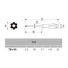 ANEX Screwdriver Hex Robe T8x60 with Hole No. 6300
