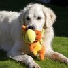Petface Cody the Caterpillar Plush Dog Toy