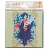 Silver Buffalo Harry Potter Character Frames Boxed 4-Piece Glass Coaster Set