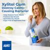 Epic Dental Xylitol Gum Cinnamon 50 Count
