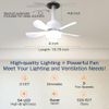 EONINI SOCKET CEILING FANS WITH LIGHTS AND REMOTE SOCKET FAN LIGHT-MULTI COL.