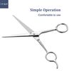 Inge Hairdressing Scissors Hair Scissors Barber Scissors Hair Cutting Scissor Professional Hair Scissors (Silver)