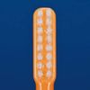 CI 903 2 Row Toothbrush/Soft Chew/Pack of 5