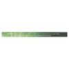 Xylitol Gum, Spearmint, 12 Pieces