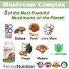 Three Pack - Mushroom Complex, Lions Mane, Reishi, Shiitake, Chaga, Maitake