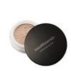 BARE ESCENTUALS bare Minerals * SUMMER BISQUE * SPF20 Concealer 2g/SEALED
