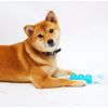 Clean Mint Barbell & Rope Dog Chew Toy