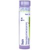 Boiron Sepia 1M Homeopathic Medicine for Bloating and Lower Back Pain During Menstruation - 80 Pellets