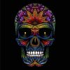 Skull, Crystal Art Notebook