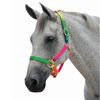 Roma Rainbow Headcollar, Pony