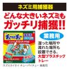 Mouse Hoi Chew, Strong Adhesive, Mouse Trap, Commercial Use, Set of 2