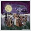 Star Gazer Hare Felted Picture Kit