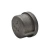 Thrifco 9118080 1/8 inch Black Cap
