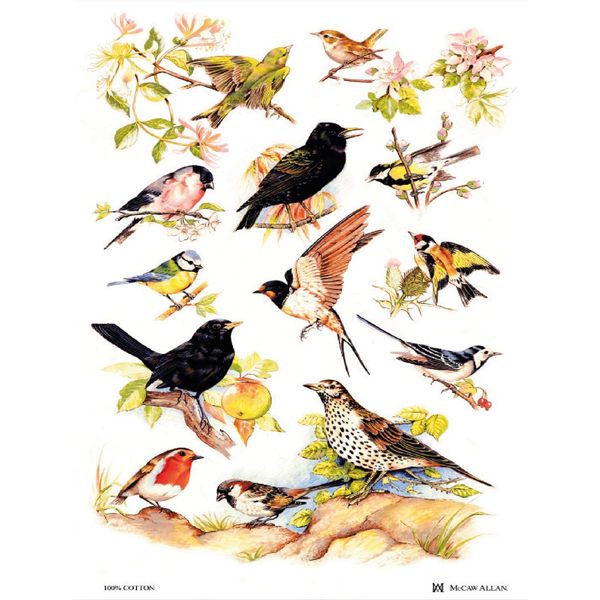 Samuel Lamont British Birds Cotton Tea Towel, White, One Size