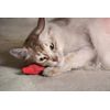YEOWWW! Catnip Crayon, 3 Count